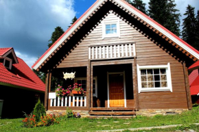 Alpine ski chalet Borovets with sauna